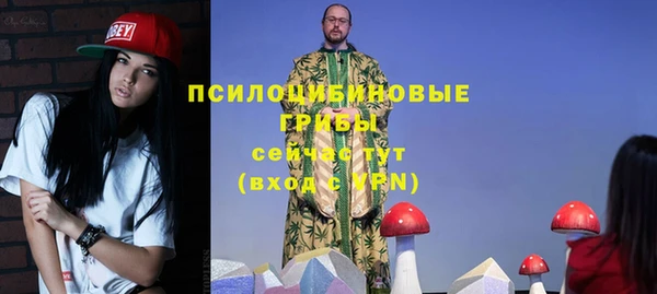 герыч Верхний Тагил